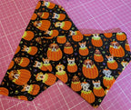 Pumpkin Pup Dog Bandana