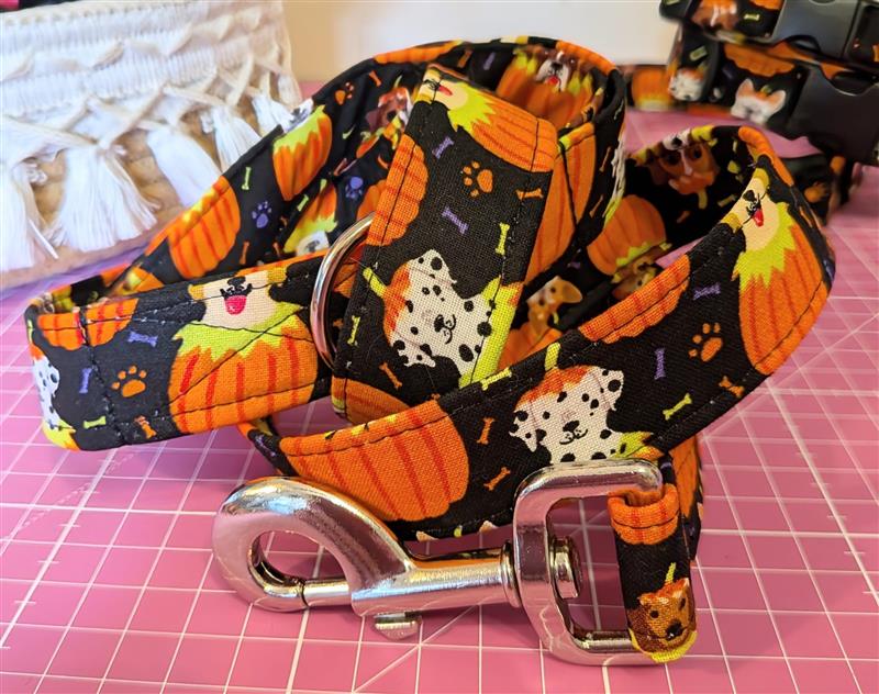 Pumpkin Pup Dog Lead