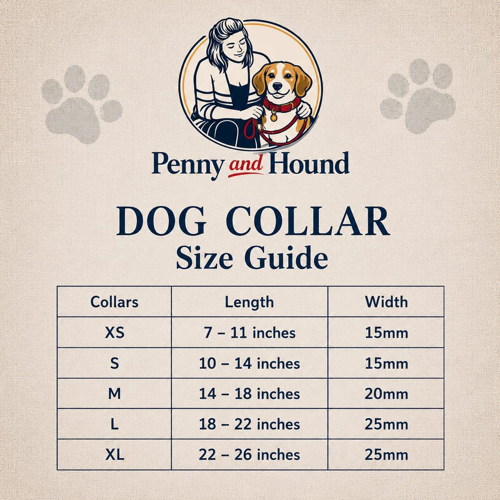 Pebble Path Dog Collar - Basic Range
