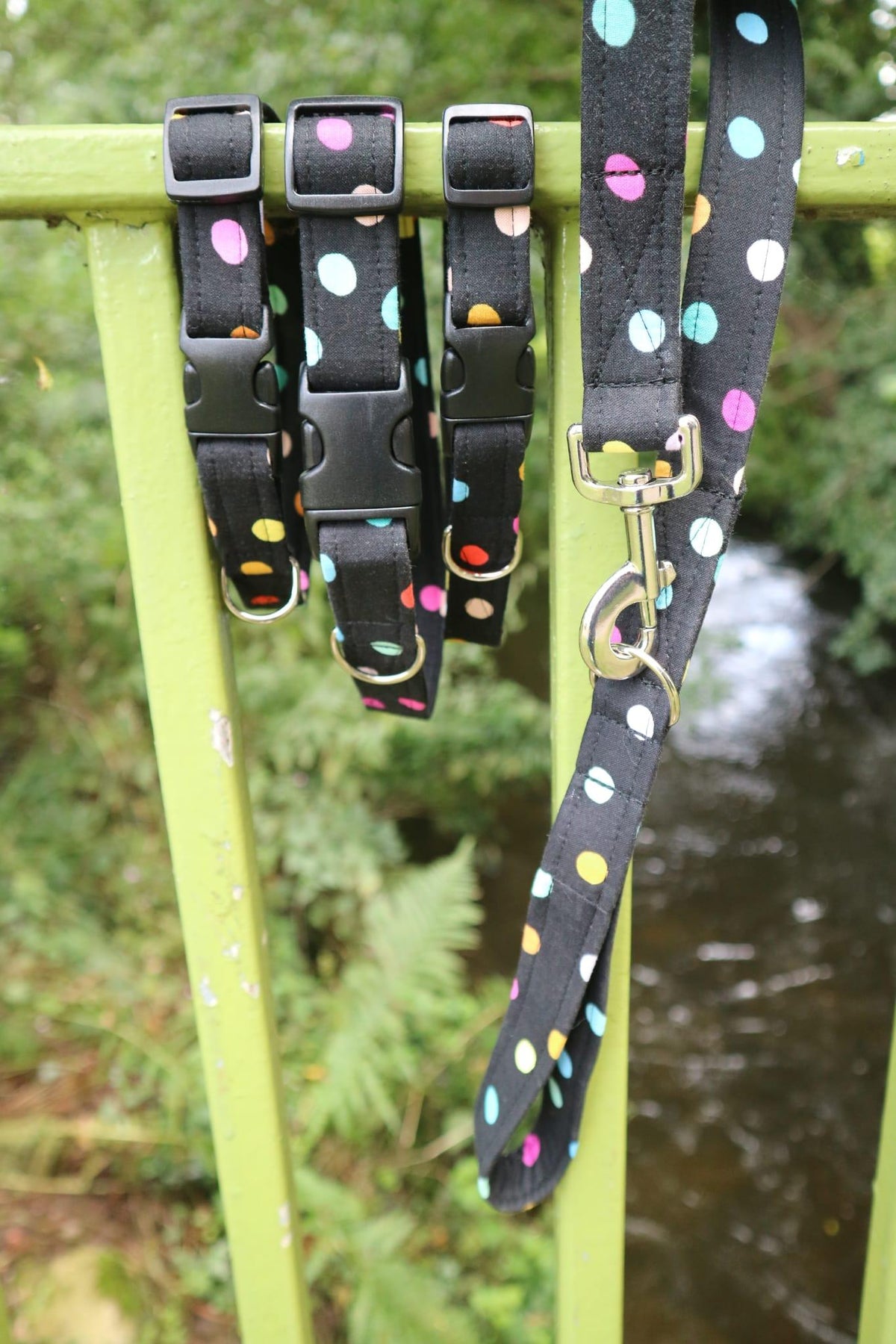Confetti Walks Dog Collar - Basic Range