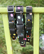 Confetti Walks Dog Collar - Basic Range