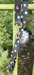 Confetti Walks Dog Lead - Basic Range