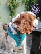The Harris Tweed & Cotton Blend Collection Dog Harness - Country Mist