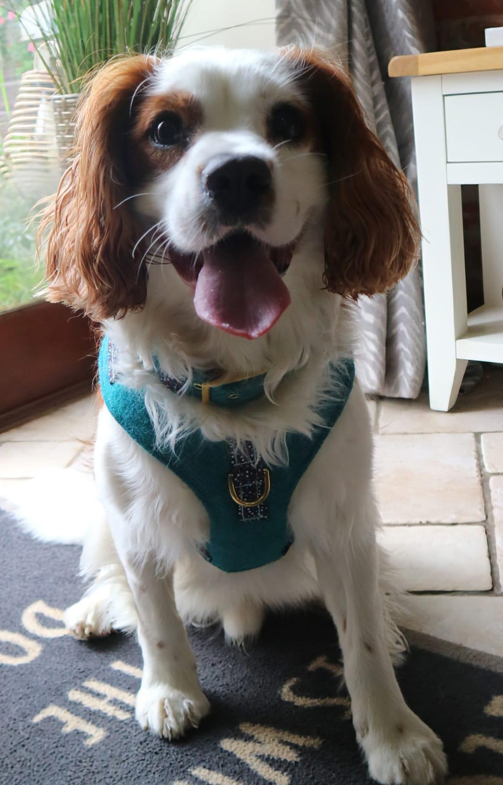 The Harris Tweed & Cotton Blend Collection Dog Harness - Country Mist