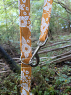 Fall Bouquet Dog Lead - Basic Range