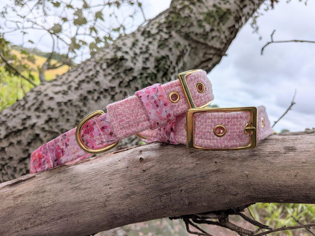 The Harris Tweed & Cotton Blend Collection Dog Collar - Meadow Lane