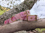 The Harris Tweed & Cotton Blend Collection Dog Collar - Meadow Lane