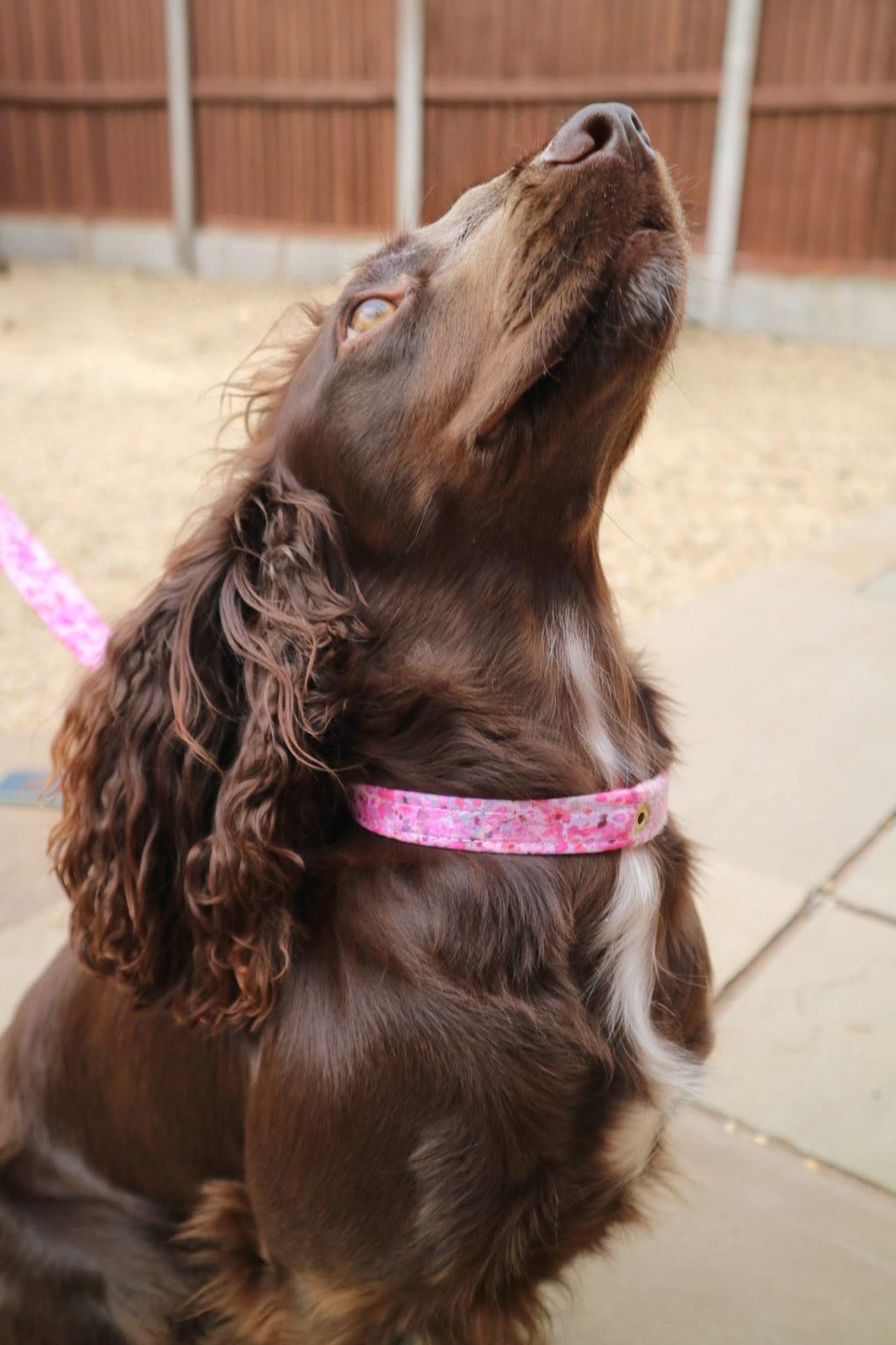 The Harris Tweed & Cotton Blend Collection Dog Collar - Meadow Lane