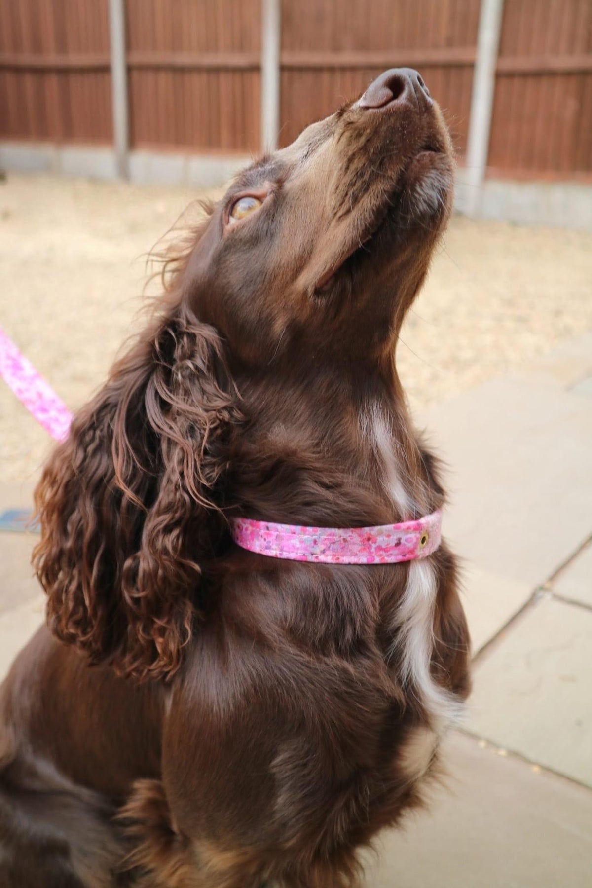 The Harris Tweed & Cotton Blend Collection Dog Collar - Meadow Lane