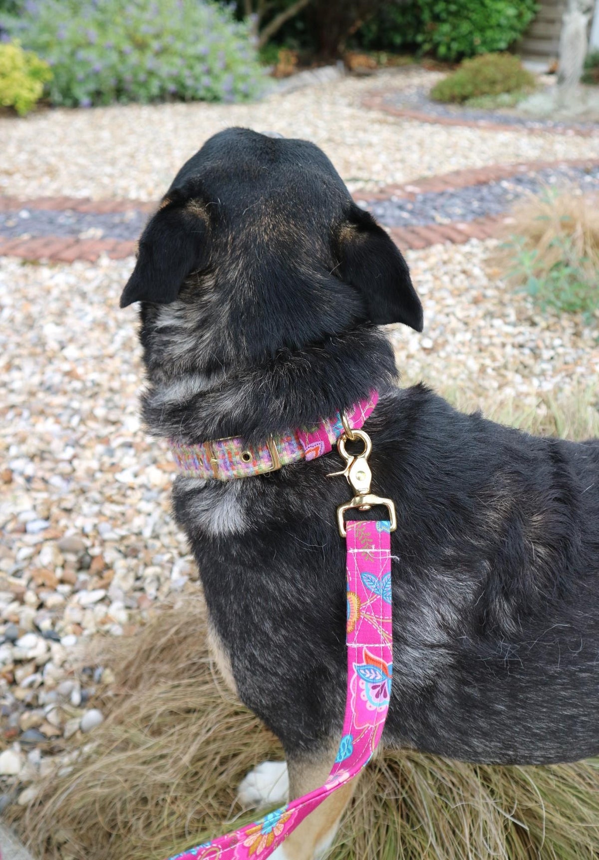 Handmade Harris Tweed Dog Collar with matching Dog Lead made by Penny and Hound in rural Staffordshire