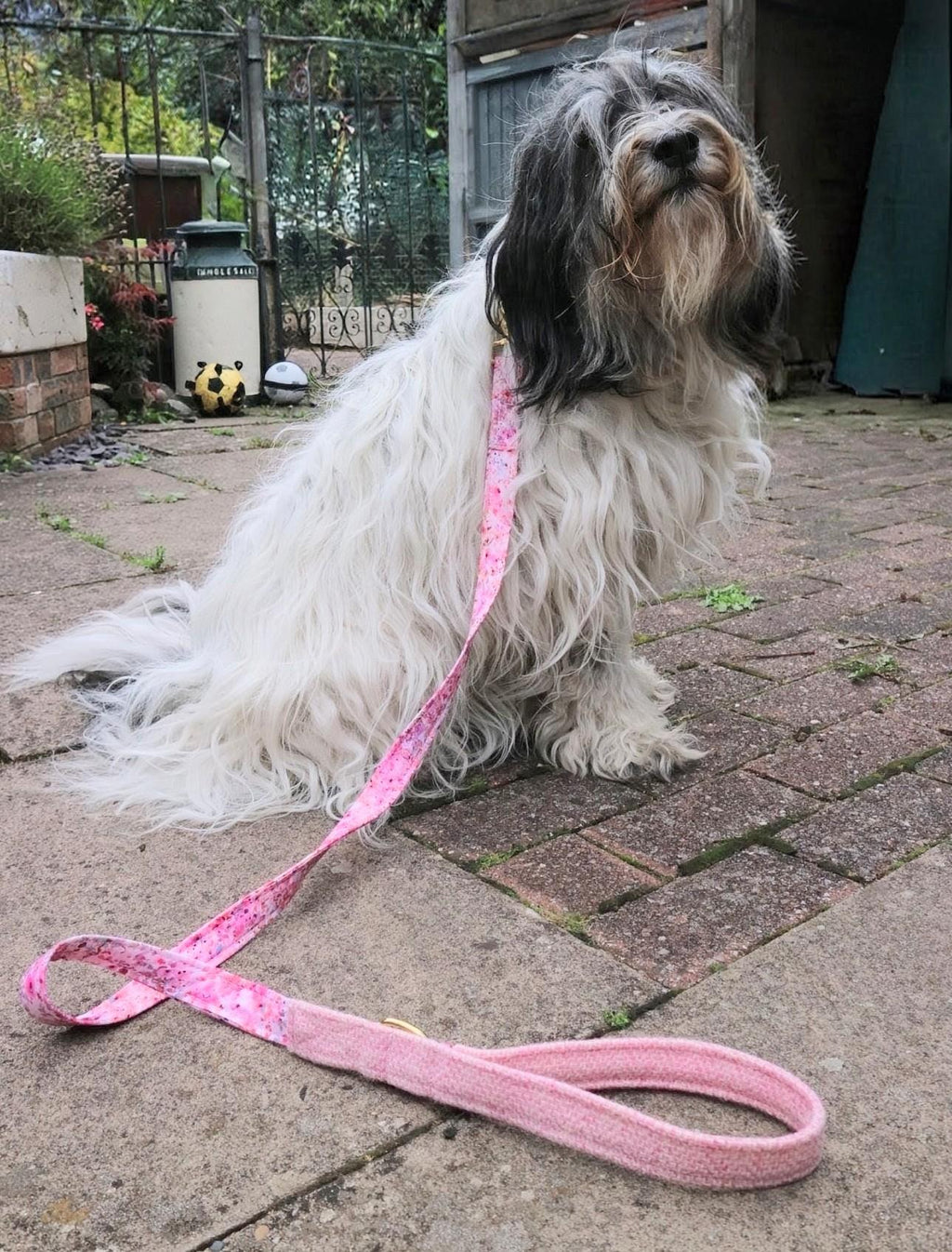 Handmade Harris Tweed Dog Collar with matching Dog Lead made by Penny and Hound in rural Staffordshire