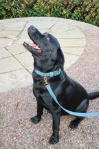 The Harris Tweed & Cotton Blend Collection Dog Collar - Highland Sky