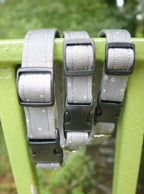 Pebble Path Dog Collar - Basic Range