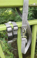 Pebble Path Dog Lead - Basic Range