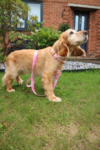 The Harris Tweed & Cotton Blend Collection Dog Collar - Meadow Lane