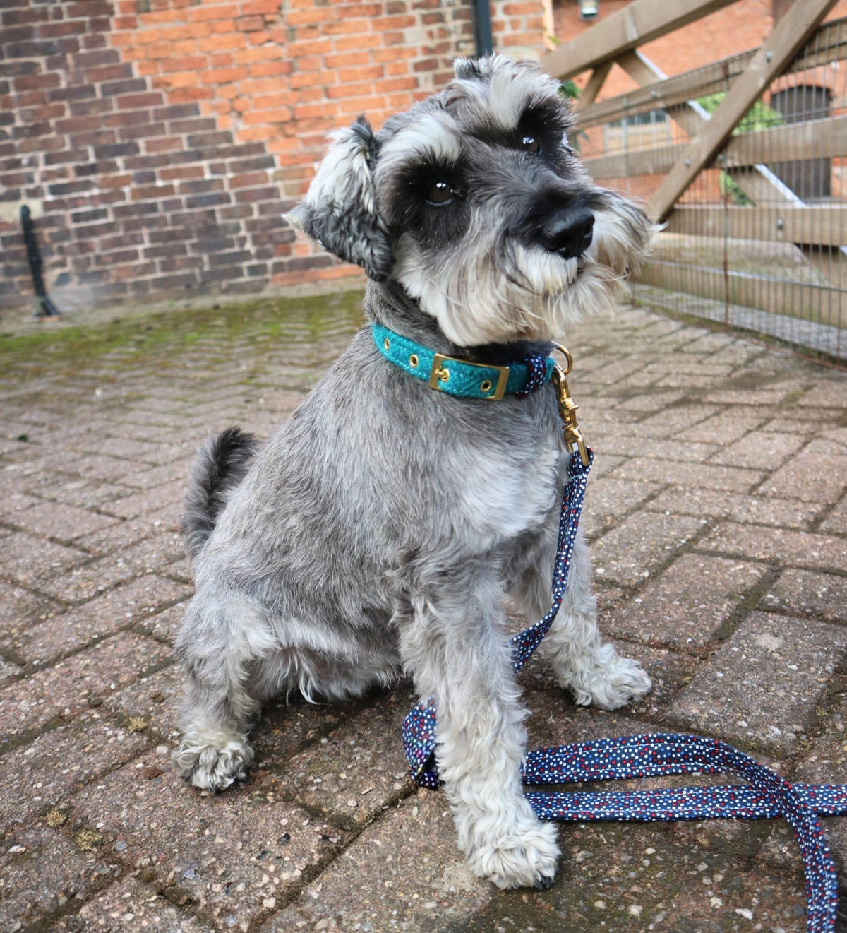 The Harris Tweed & Cotton Blend Collection Dog Lead- Country Mist