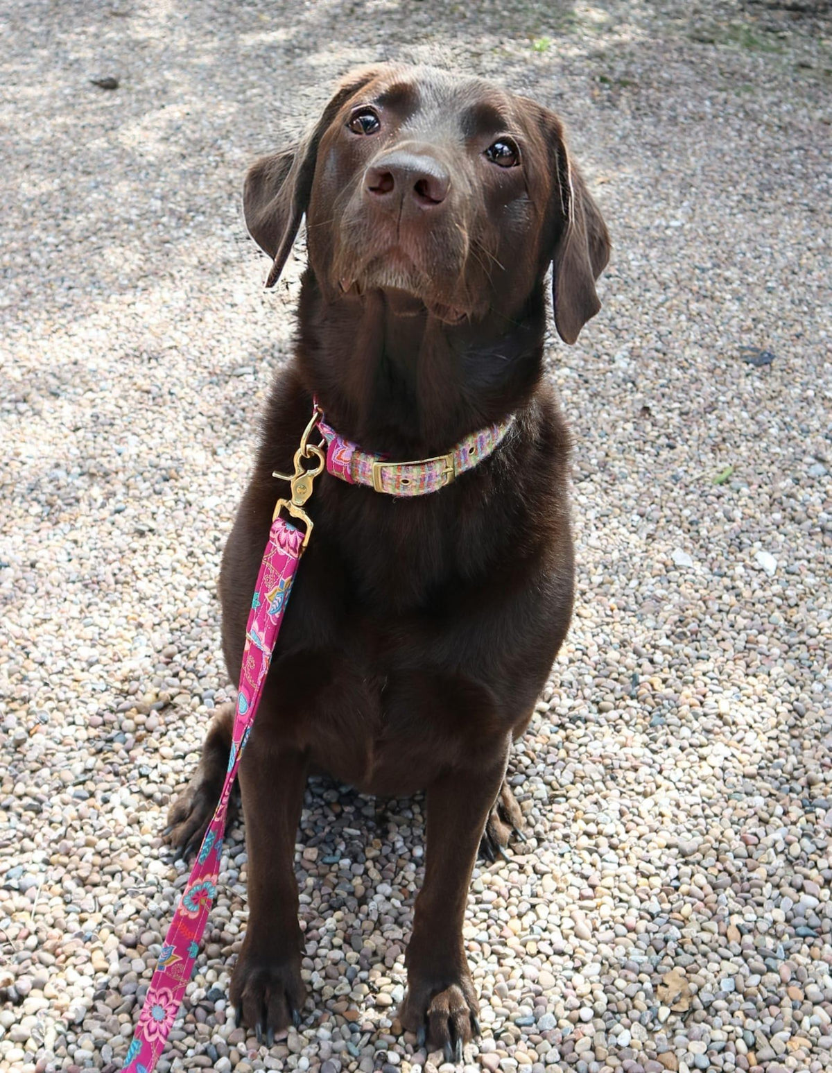 The Harris Tweed & Cotton Blend Collection Dog Lead- Wild Bloom