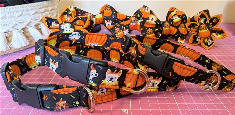 Pumpkin Pup Dog Collar
