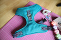 The Harris Tweed & Cotton Blend Collection Dog Harness - Country Mist