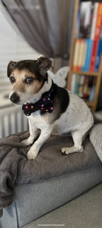 Confetti Walks Dog Bow Tie